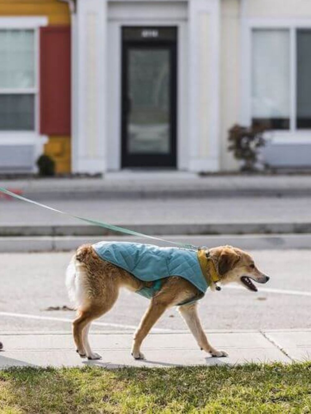 RuffWear Stumptown Insulated Vest, L